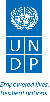 Logo of UNDP